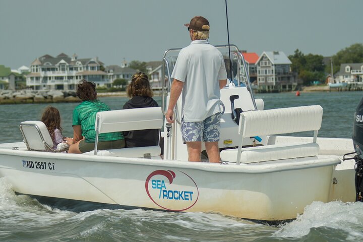 1 hora de festa privada Assateague Island Pony Cruise em Ocean City