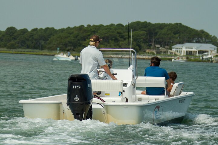 1 hora de festa privada Assateague Island Pony Cruise em Ocean City