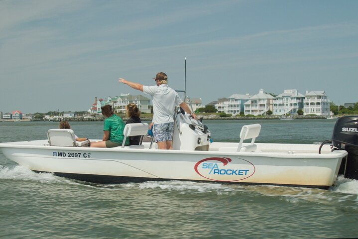 1 hora de festa privada Assateague Island Pony Cruise em Ocean City