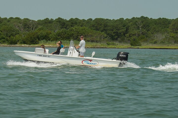 1 hora de festa privada Assateague Island Pony Cruise em Ocean City
