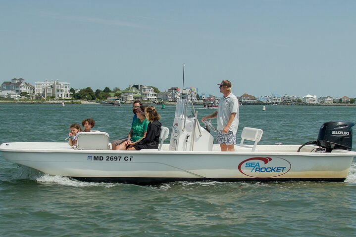 1 hora de festa privada Assateague Island Pony Cruise em Ocean City