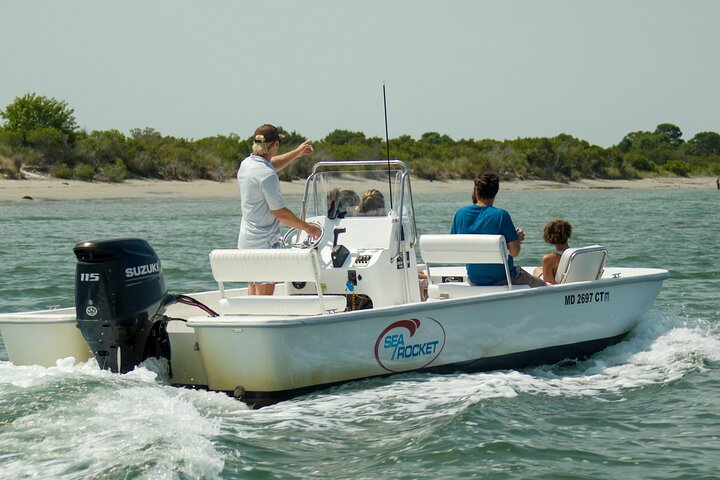 1 hora de festa privada Assateague Island Pony Cruise em Ocean City