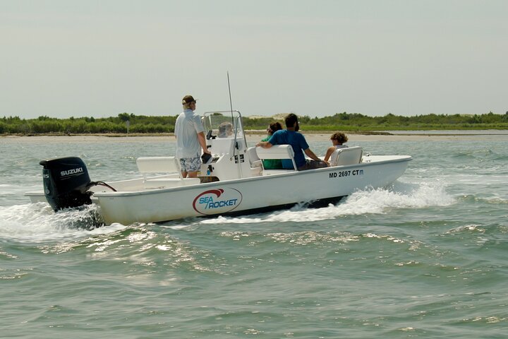 1 hora de festa privada Assateague Island Pony Cruise em Ocean City