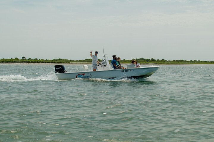 1 hora de festa privada Assateague Island Pony Cruise em Ocean City