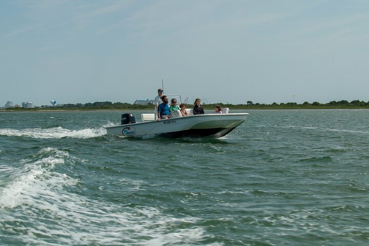 1 hora de festa privada Assateague Island Pony Cruise em Ocean City