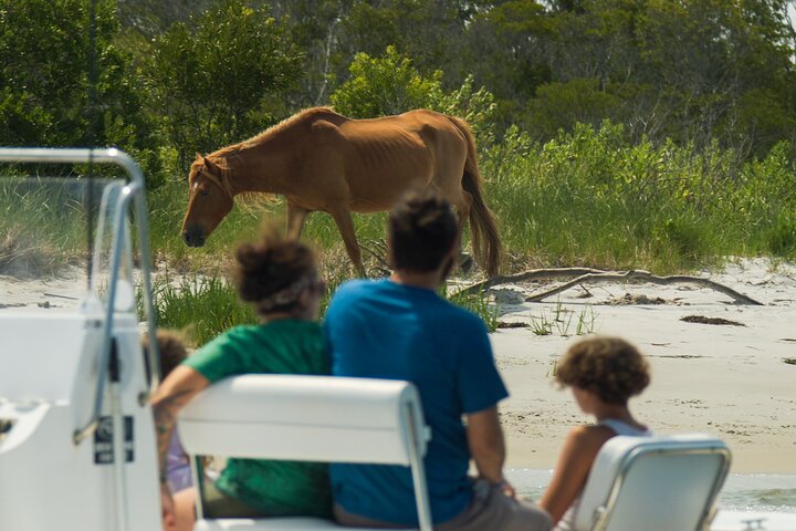 1 hora de festa privada Assateague Island Pony Cruise em Ocean City