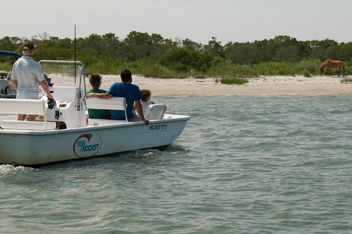 1 hora de festa privada Assateague Island Pony Cruise em Ocean City