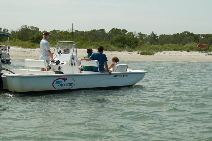 1 hora de festa privada Assateague Island Pony Cruise em Ocean City