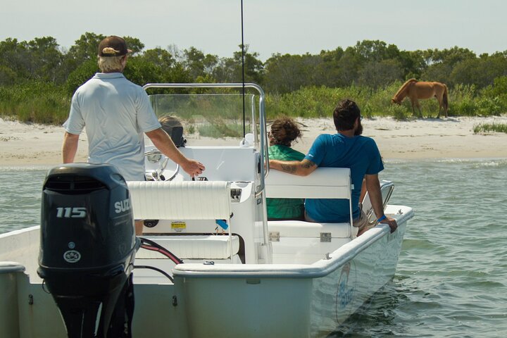 1 hora de festa privada Assateague Island Pony Cruise em Ocean City