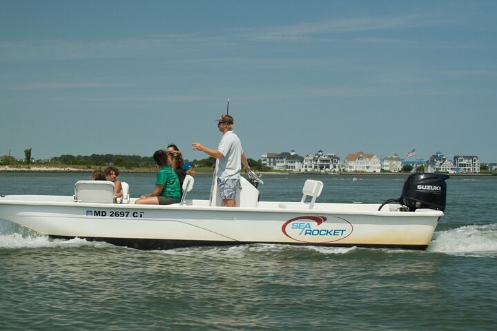 1 hora de festa privada Assateague Island Pony Cruise em Ocean City