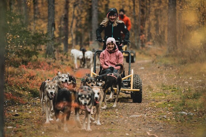 Middernachtzon en herfst noorderlicht Husky Cart Tour