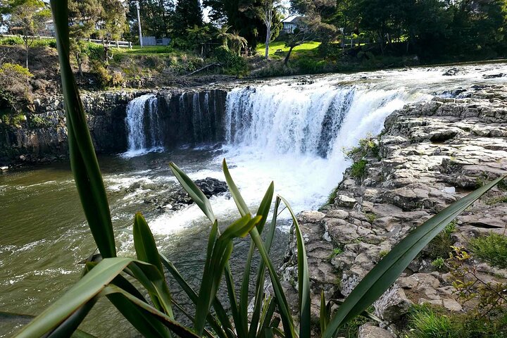 *Popular Tour* - Bay of Islands: Nature Adventure - 4 horas