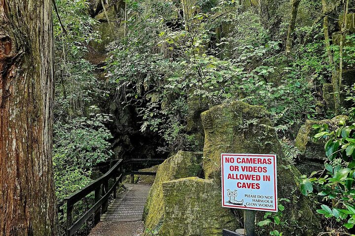 *Popular Tour* - Bay of Islands: Nature Adventure - 4 horas