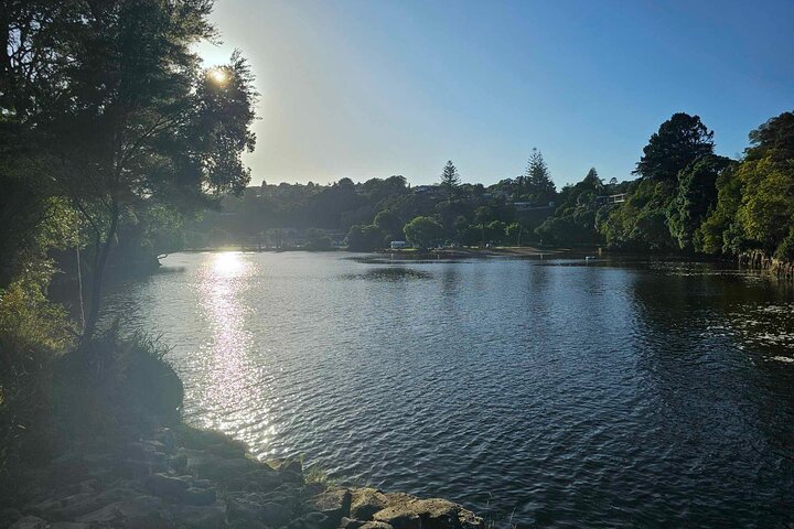 *Popular Tour* - Bay of Islands: Nature Adventure - 4 horas