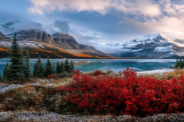 Calgary: Columbia Icefield Adventure, Skywalk en Peyto Lake Tour