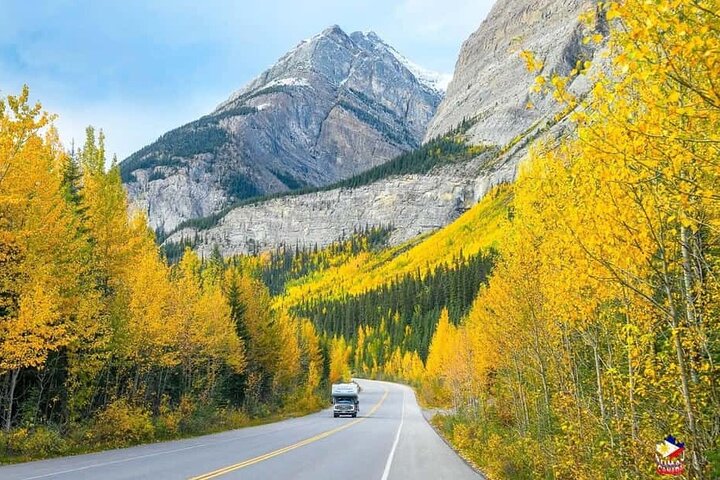 Calgary: Columbia Icefield Adventure, Skywalk en Peyto Lake Tour