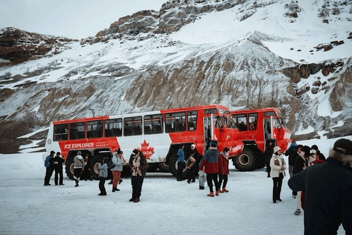 Calgary: Columbia Icefield Adventure, Skywalk en Peyto Lake Tour