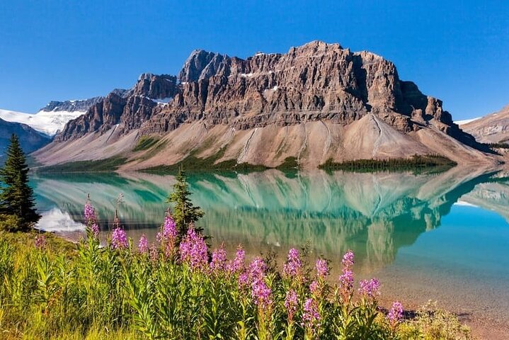 Calgary: Columbia Icefield Adventure, Skywalk en Peyto Lake Tour
