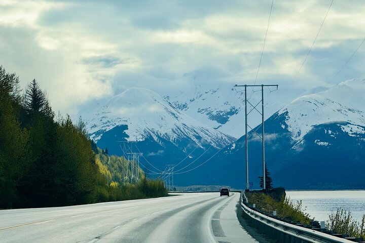 Tour privado en crucero por Seward con parque nacional y AWCC