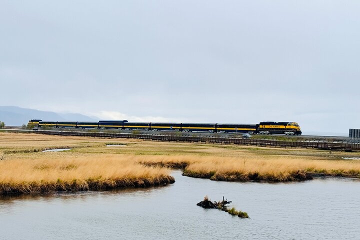 Tour privado en crucero por Seward con parque nacional y AWCC