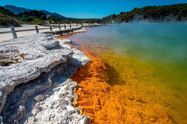 Auckland: Rotorua Tour avec Waiotapu, Te Puia et Maori Haka