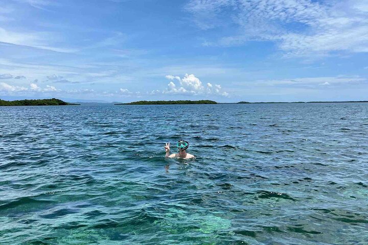 Bocas Del Toro Dolphin Bay, Chokladfarm och Snorkeltur