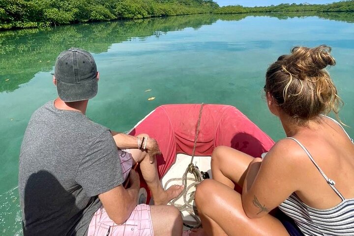 Caribbean Catamaran Day Cruise: Strande, snorkling og frokost