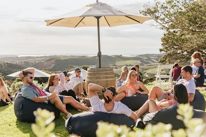 Auckland: Waiheke Island Seafront lunsj og premium vin tur