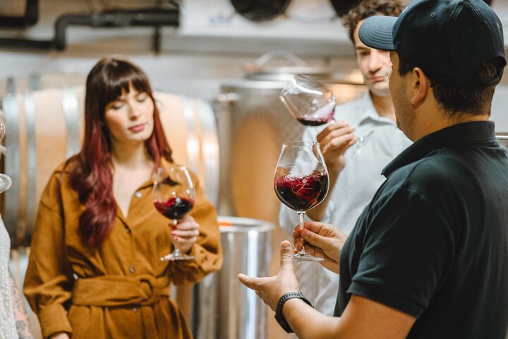 Auckland: Waiheke Island Seafront lunsj og premium vin tur