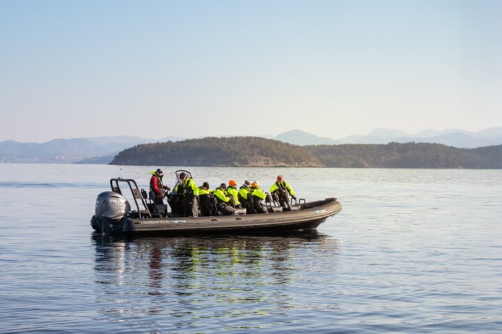 RIB aventura no Lysefjord com passeio turístico pelo fiorde