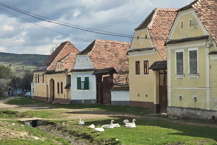 UNESCO TOUR: Sighisoara, Viscri en Rupea Tour vanuit Brasov