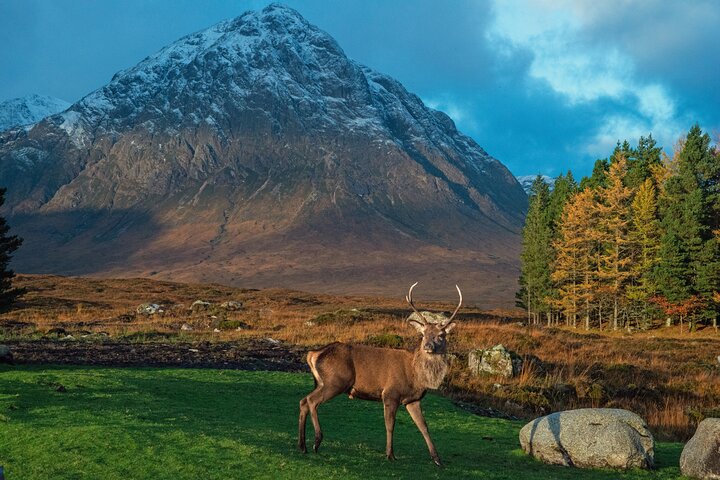 Glencoe og Glen Nevis Private Halvdagstur fra Fort William
