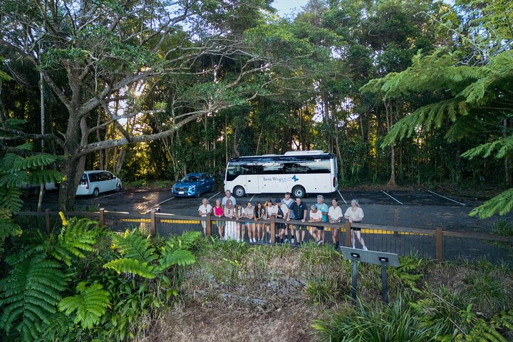 Tour por Daintree, Mossman Gorge y vida salvaje desde Cairns