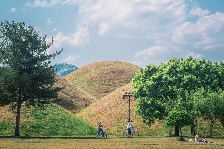 Gyeongju eendaagse tour vanuit Daegu: 7 hoogtepunten waaronder Bulguksa