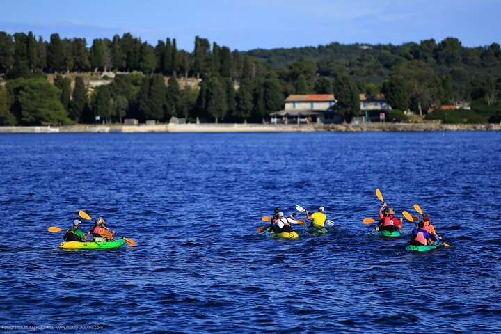 Tour in kayak di Brioni con biglietto per l'intera giornata Brioni incluso