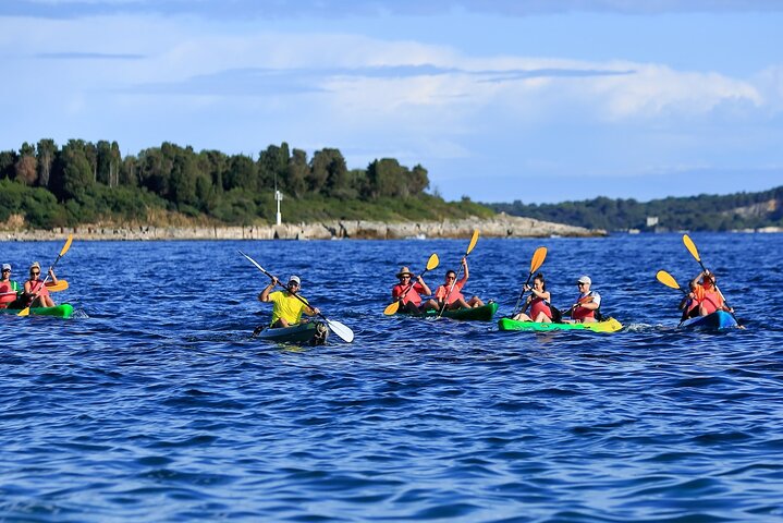 Tour in kayak di Brioni con biglietto per l'intera giornata Brioni incluso