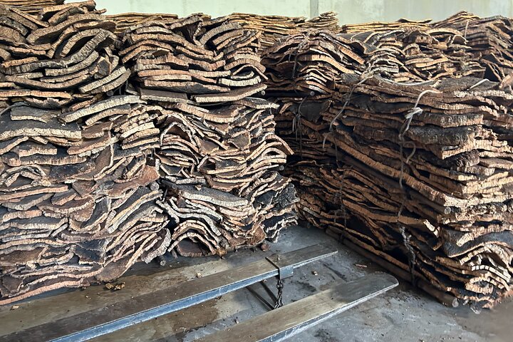 Visite de la fabrique de bouchons et du domaine de l'Alentejo avec déjeuner