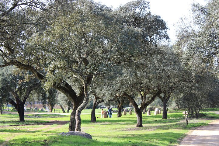 Visite de la fabrique de bouchons et du domaine de l'Alentejo avec déjeuner
