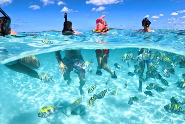3 islands Tour with snorkelling ,Pigs, Turtles & beach club lunch
