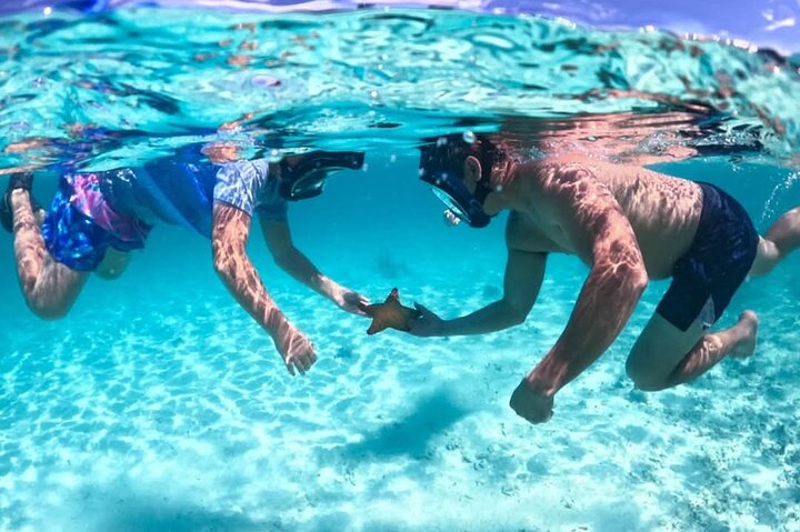 3 islands Tour with snorkelling ,Pigs, Turtles & beach club lunch