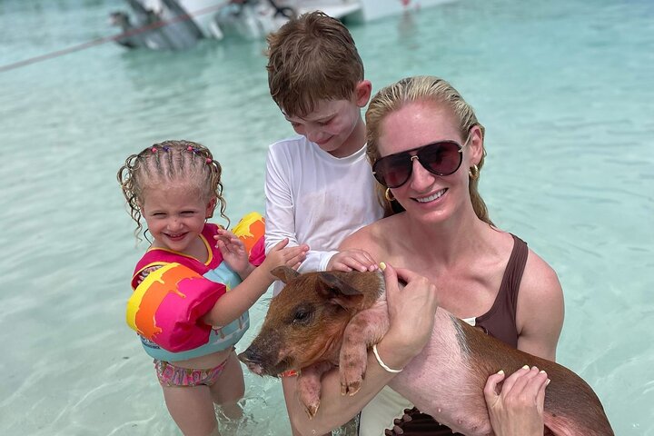 3 islands Tour with snorkelling ,Pigs, Turtles & beach club lunch