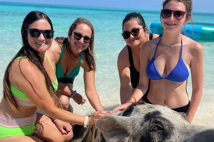 3 islands Tour with snorkelling ,Pigs, Turtles & beach club lunch
