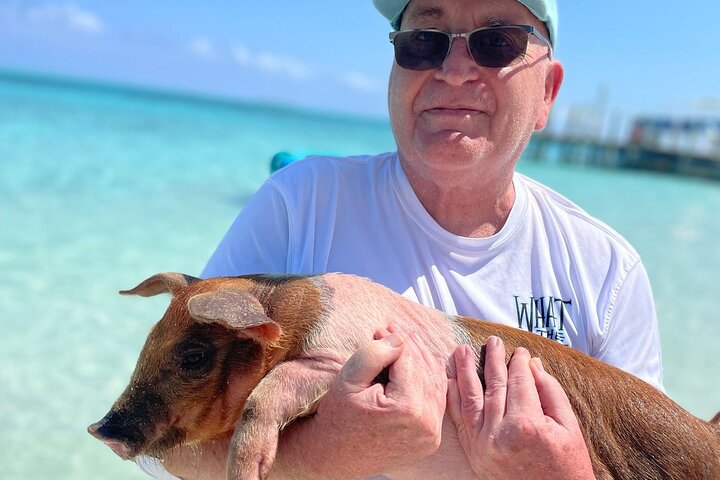 3 islands Tour with snorkelling ,Pigs, Turtles & beach club lunch