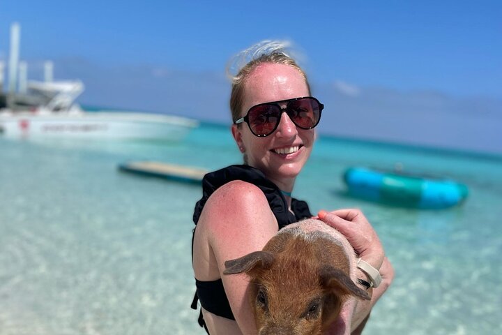 3 islands Tour with snorkelling ,Pigs, Turtles & beach club lunch