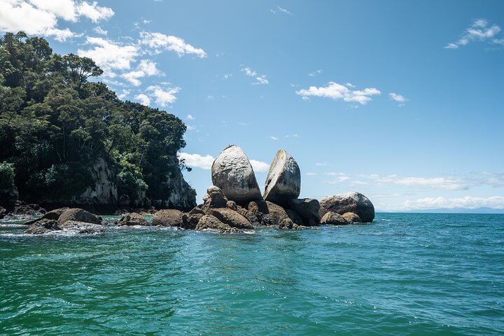 Hele dag Abel Tasman National Park Wandeltocht met Cruise