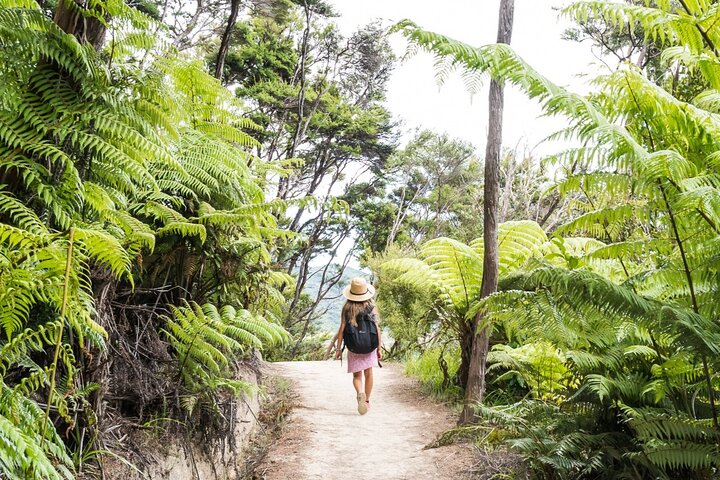 Hele dag Abel Tasman National Park Wandeltocht met Cruise