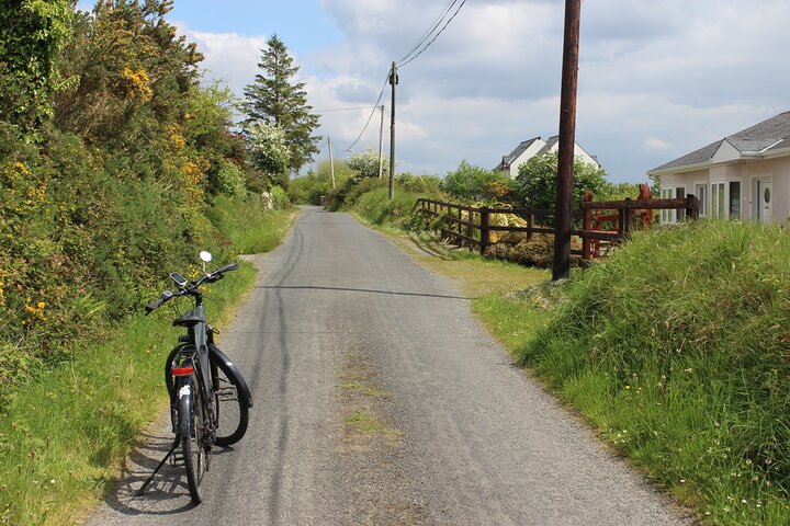 Inis Cealtra Tour Giro in eBike e Gita in Barca all'Isola Santa