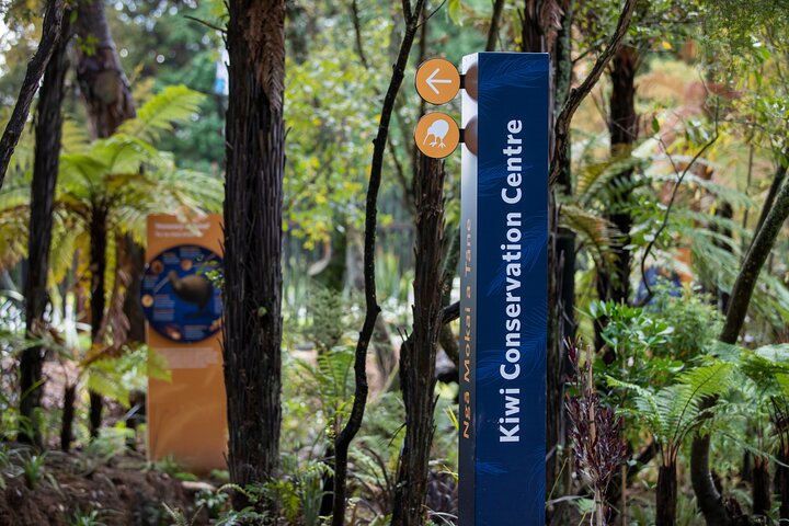 Auckland: Rotorua Tour avec Waiotapu, Te Puia et Maori Haka