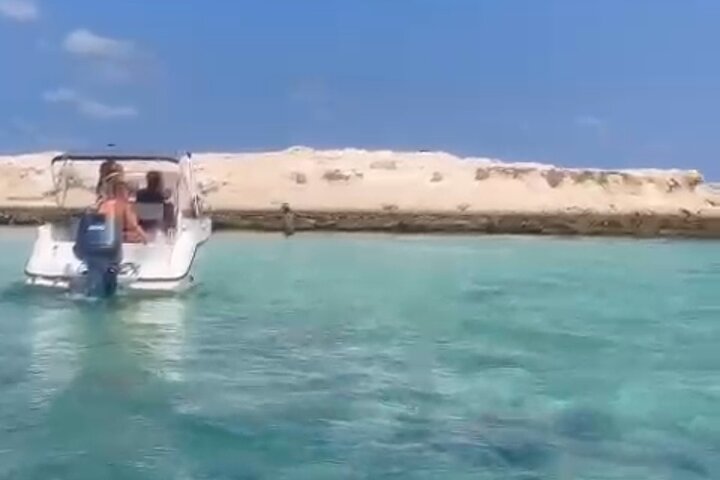 1,5 uur durende zeetocht met zwemmen en dolfijnen kijken