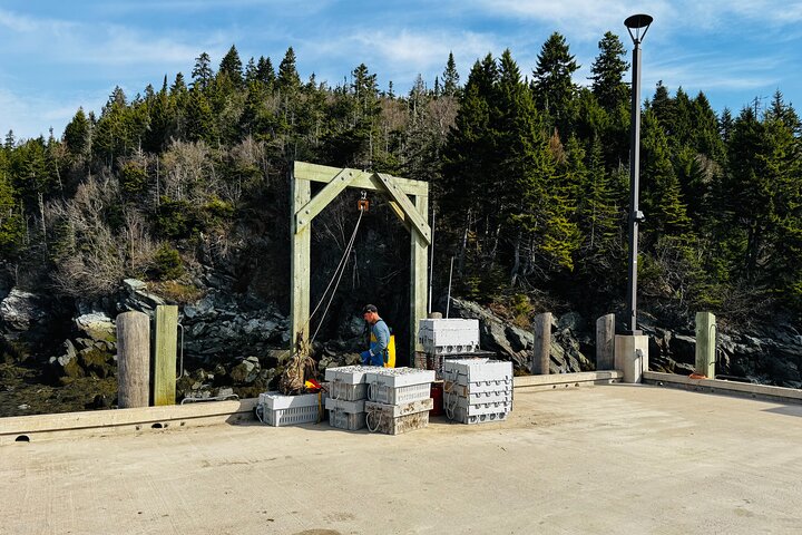 Bay Of Fundy Guided Tour